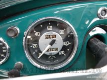 Austin Healey 100/4 BN1 '54 (1954)