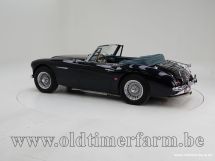 Austin Healey 3000 MK II A '63 (1963)