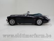 Austin Healey 3000 MK II A '63 (1963)