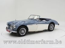 Austin Healey 100/6 BN4 '59