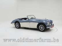 Austin Healey 100/6 BN4 '59 (1959)