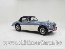 Austin Healey 100/6 BN4 '59 (1959)