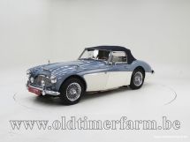 Austin Healey 100/6 BN4 '59 (1959)