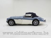 Austin Healey 100/6 BN4 '59 (1959)