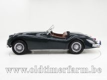 Jaguar XK 140 OTS SE '55 (1955)