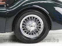 Jaguar XK 140 OTS SE '55 (1955)