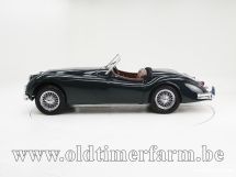 Jaguar XK 140 OTS SE '55 (1955)