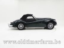 Jaguar XK 140 OTS SE '55 (1955)