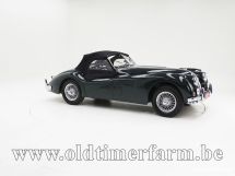 Jaguar XK 140 OTS SE '55 (1955)