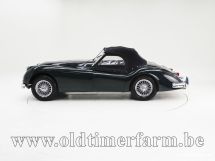 Jaguar XK 140 OTS SE '55 (1955)