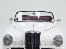 Lancia Aurelia B50 Cabriolet '51 (1951)