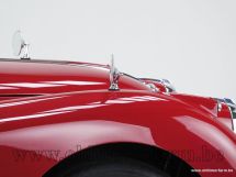 Jaguar XK140 DHC Automatic '57 (1957)