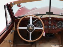 Jaguar XK140 DHC Automatic '57 (1957)