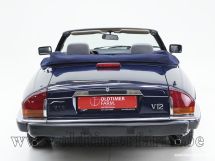 Jaguar XJS V12 Convertible '89 (1989)