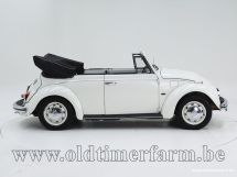 Volkswagen Kever Cabrio 1500 '69 (1969)