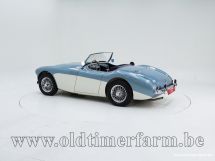 Austin Healey 100/4 BN 1 '54 (1954)