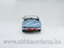 Austin Healey 100/4 BN 1 '54 (1954)