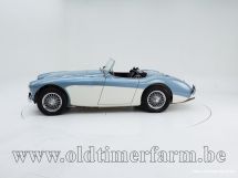 Austin Healey 100/4 BN 1 '54 (1954)