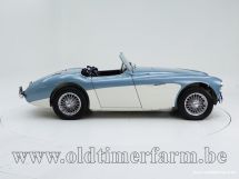 Austin Healey 100/4 BN 1 '54 (1954)