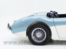 Austin Healey 100/4 BN 1 '54 (1954)