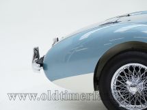 Austin Healey 100/4 BN 1 '54 (1954)