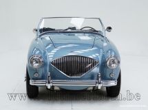 Austin Healey 100/4 BN 1 '54 (1954)