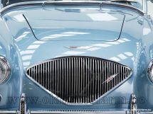 Austin Healey 100/4 BN 1 '54 (1954)