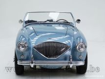 Austin Healey 100/4 BN 1 '54 (1954)