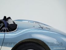 Austin Healey 100/4 BN 1 '54 (1954)