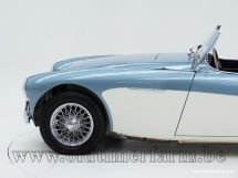 Austin Healey 100/4 BN 1 '54 (1954)