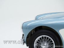 Austin Healey 100/4 BN 1 '54 (1954)