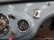 Austin Healey 100/4 BN 1 '54 (1954)