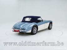 Austin Healey 100/4 BN 1 '54 (1954)