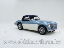 Austin Healey 100/4 BN 1 '54 (1954)