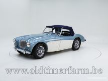 Austin Healey 100/4 BN 1 '54 (1954)