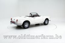 Alfa Romeo 1600 Giulia Spider '65 (1965)