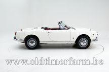 Alfa Romeo 1600 Giulia Spider '65 (1965)