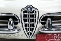 Alfa Romeo 1600 Giulia Spider '65 (1965)